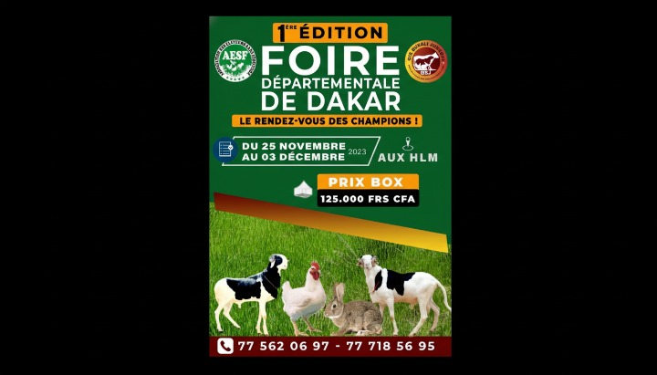 Sénégal : foire Départementale de Dakar
