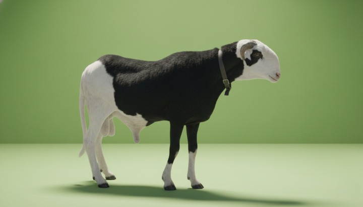 Sénégal : Lignée Soubérou